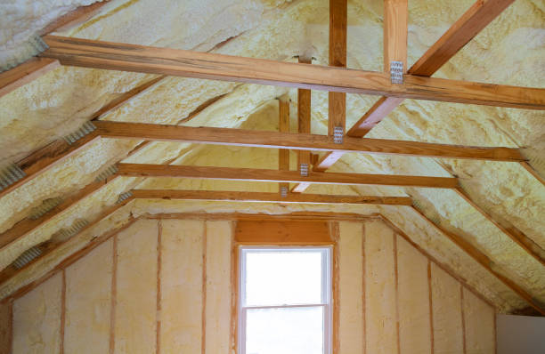 Best Spray Foam Insulation in Schleswig, IA