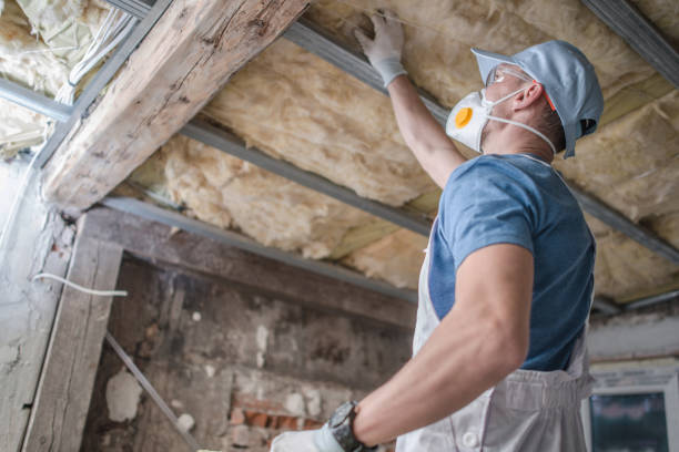 Best Fiberglass Insulation in Schleswig, IA