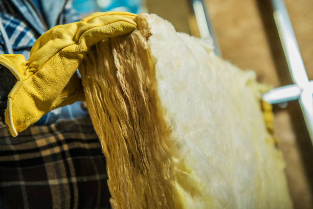 Best Cellulose Insulation in Schleswig, IA