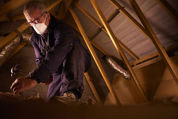 Best Geographic-Specific Insulation Services in Schleswig, IA